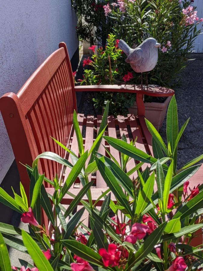 Hortensie Σπάιερ Εξωτερικό φωτογραφία